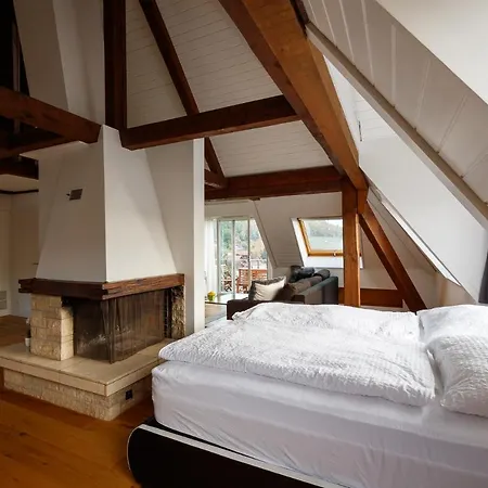 Apart-hotel Berg & Berg - Self-check-in Spiez