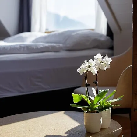 Berg & Berg - Self-check-in 3* Spiez